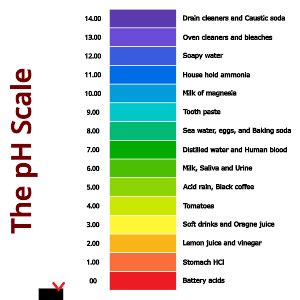 The Ph Scale Of Acid And Bases Psiberg