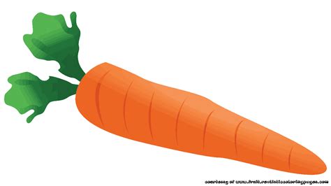 Clipart fruit carrot, Clipart fruit carrot Transparent FREE for download on WebStockReview 2020