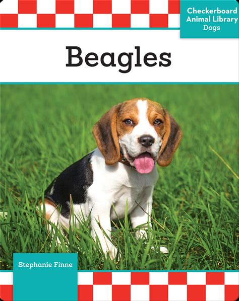 Beagles Childrens Book By Stephanie Finne Discover Childrens Books
