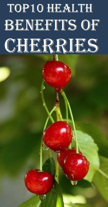 Top10 Health Benefits Of Cherries Health Benefits Of Cherries