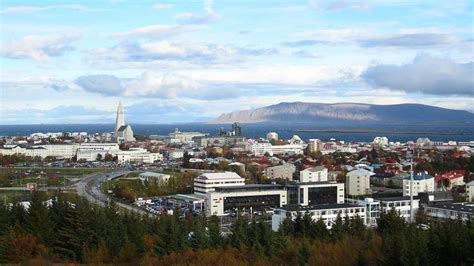 The Complete Guide To Forests In Iceland Guide To Iceland