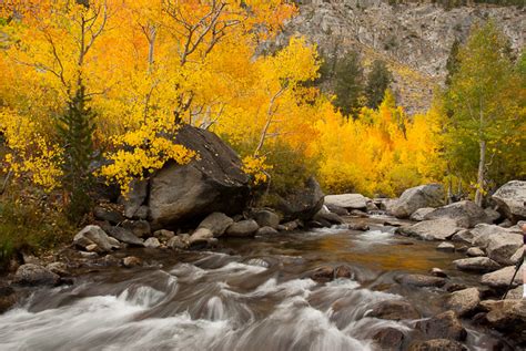 Fall Colors On Bishop Creek North Fork Mike Chowlas Photo Blog