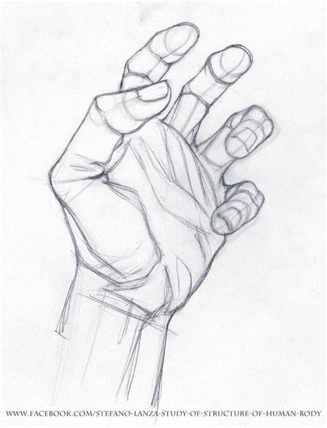 Рука с ключом для моей затеи Hand Drawing Reference Figure Drawing