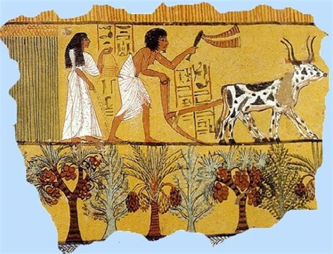 Ancient Egyptian Farming Tools History Wiki Twinkl
