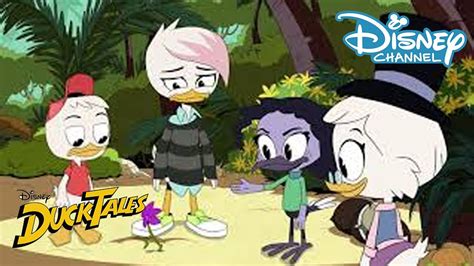 Ducktales Een Onbewoond Droom Eiland Disney Channel Nl Youtube