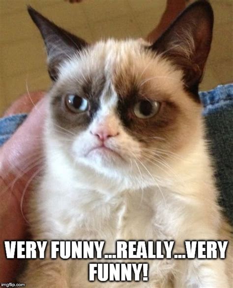 32 Funny Cat Memes Grumpy Cat Factory Memes
