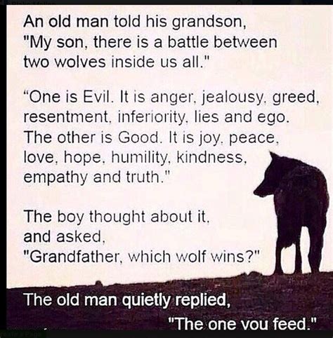 Pin By Andrea Reid On Randoms Two Wolves Wolf Quotes The One You Feed