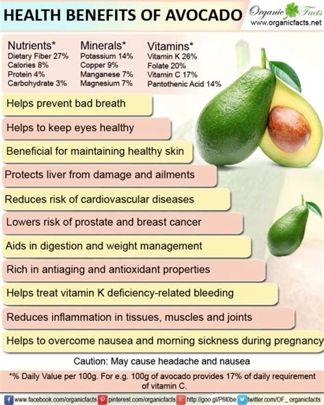 Under The Angsana Tree: Health Benefits of Avocado