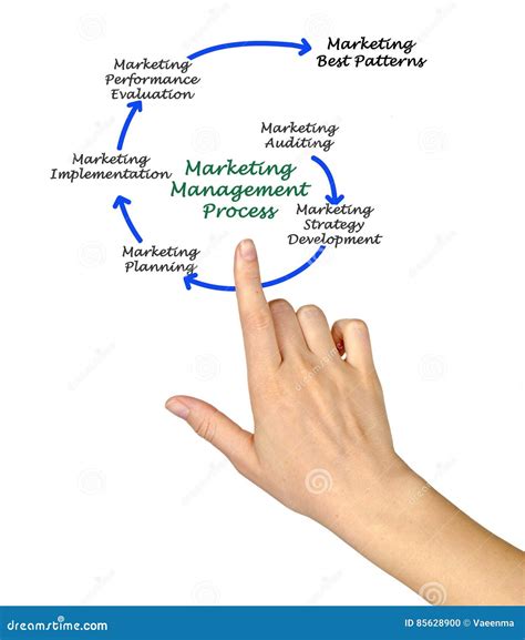 Marketing Management Process Stock Photo Image Of Expert Development
