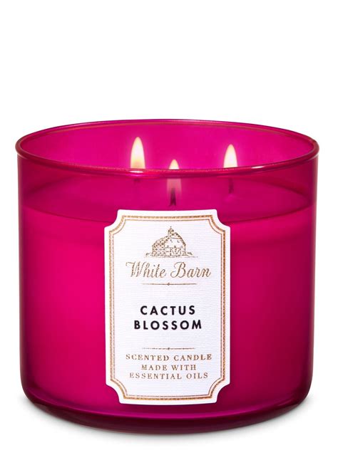 Find your favourite fragrances and browse bath supplies to treat your body. Bath & Body Works 3-Wick Candle - Cactus Blossom ...