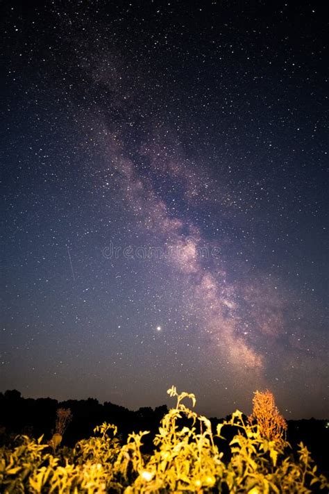 A Beautiful Night Sky The Milky Way And The Trees Stock Image Image
