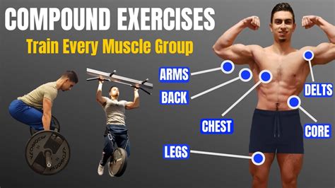 Best Compound Exercises Clearance Online Save Jlcatj Gob Mx