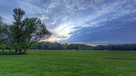 Download Wallpaper 1920x1080 Field Meadow Greens Grass Sky Clouds