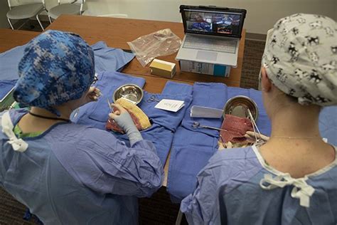 Texas A M Veterinary Students Practice Surgery At Home Texas A M Today