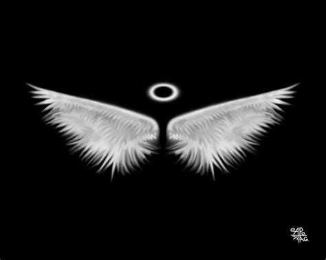 White Angel Wings Wallpapers Top Free White Angel Wings Backgrounds