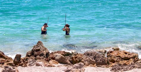 Caspersen Beach And Park In Venice Fl Must Do Visitor Guides