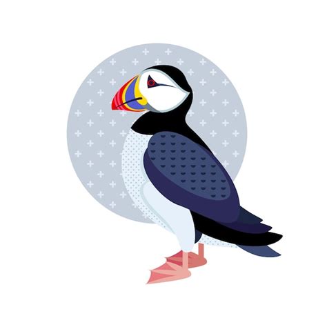 Premium Vector Puffin Bird On White Background Vector Icon Decorative