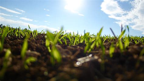 Free Images Nature Cloud Plant Sky Field Lawn Meadow Sunlight