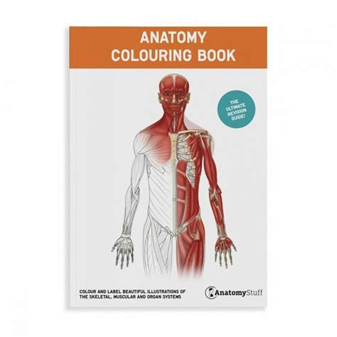Anatomy Colouring Book Adult Colouring Book Best Anatomy Etsy