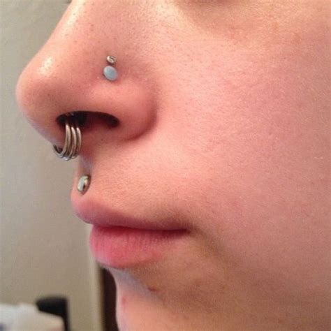 Stacked Rings In Stretched Septum Double Nostril Medusa Piercings