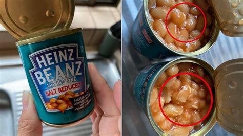 Woolworths Supermarket Shoppers Maggot Find In Baked Beans Truth