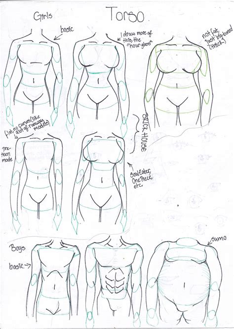 Body Types N Shapes How To Draw Female Body Shapes