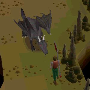 Where killing in tavelry dungeon, always take an anti dragonfire sheild and lots of food. Dragon halberd - OSRS Wiki