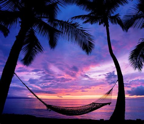 Beautiful Vacation Sunset Hammock By Design Pics Vibe Beautiful