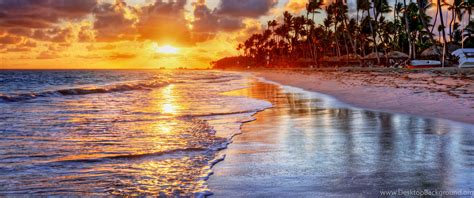 Sunset Tropical Ocean Sand Sea Palms Beach Shore