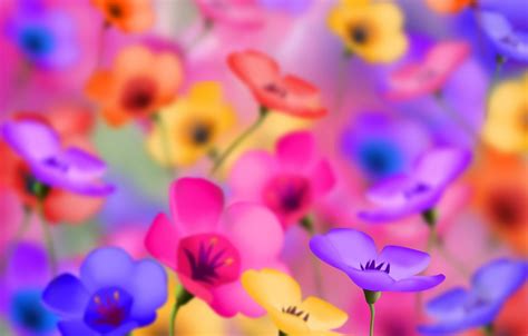 Wallpaper Color Flowers Brightness Images For Desktop Section цветы