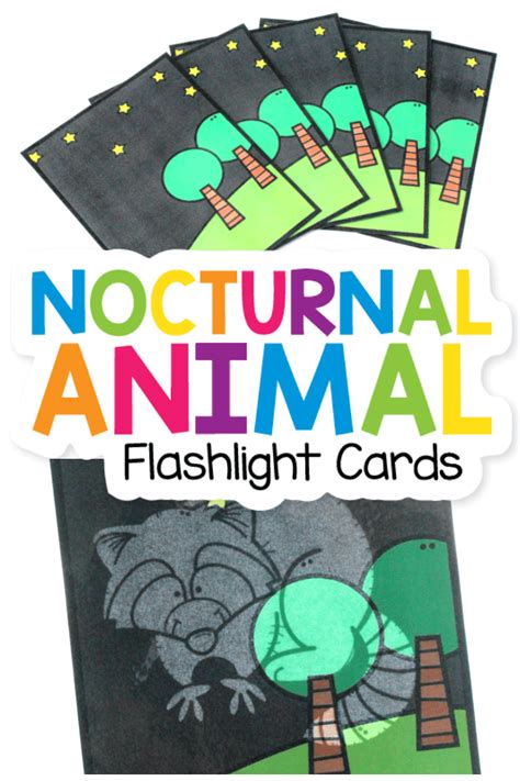 Nocturnal Animal Flashlight Cards From Abcs To Acts Nocturnal