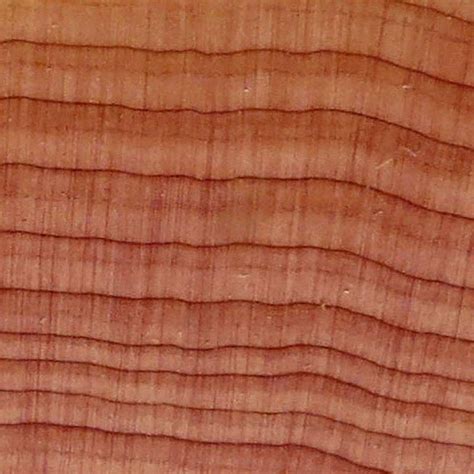 Eastern Red Cedar Wood Turning Blanks Got Wood Llc Got Wood Llc