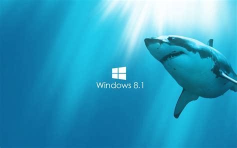 Shark Live Wallpaper Windows 8 Wallpapersafari
