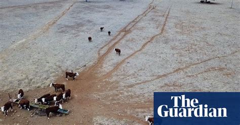 Have You Been Affected By The Drought In Australia Drought The Guardian