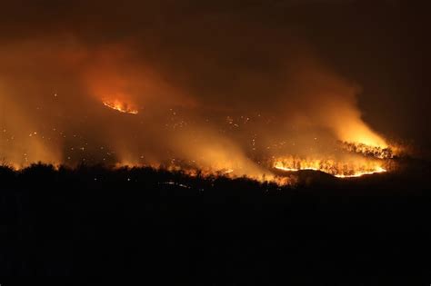 Premium Photo Bushfire Wildfire At Night