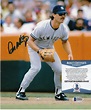 Don Mattingly Autographed Signed New York Yankees Beckett Authenticated ...