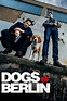 Dogs of Berlin - Rotten Tomatoes
