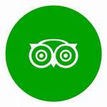 Icon Social Tripadvisor Discord Icons Getdrawings Different
