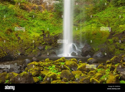 Elowah Falls In The Columbia River Gorge National Scenic Area Fall