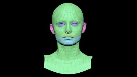 Retopologized Male 3d Head Scan Lucy Evans 3d Model Cgtrader