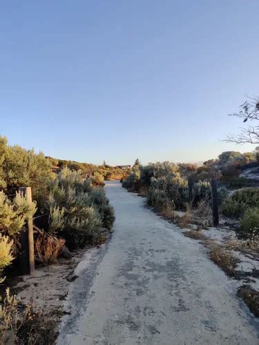 Best Hikes And Trails In Tennyson Dunes Conservation Area Alltrails