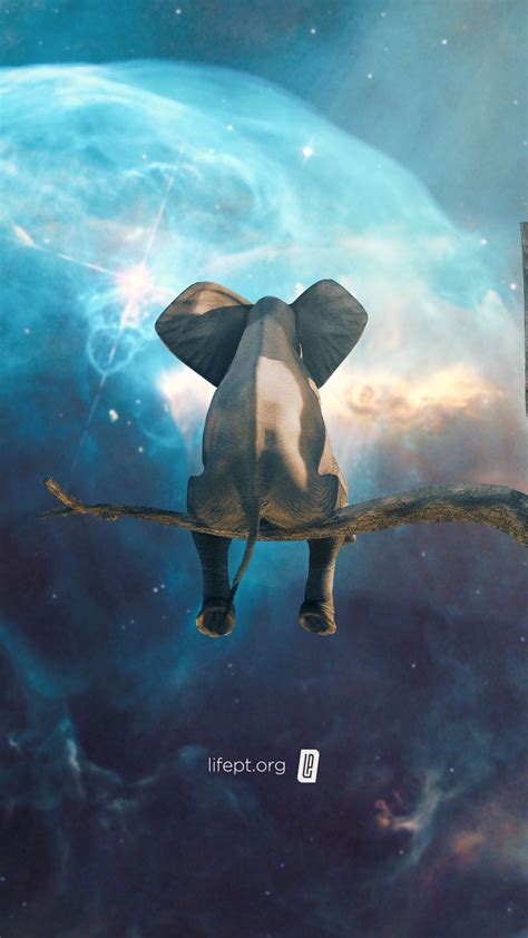 Space Elephant Wohlwollen