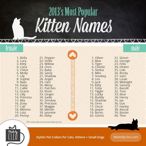 If you like disney inspired names, there's ariel, belle, jasmine, megara, elsa, anna, aurora, esmeralda, tinkerbell, merida, mulan, nala, tiana or moana. Infographic - Most Popular Kitten Names / 2013. Shows top ...