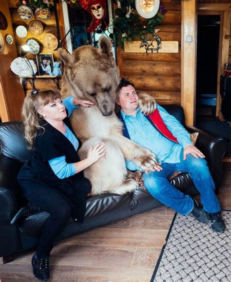 russian couple adopted an orphaned bear cub after 23 years they still live together