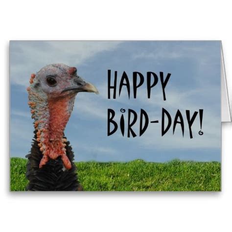Happy Birthday Turkey Clipart 20 Free Cliparts Download Images On