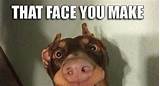 So read some extremely funny jokes and have a hearty laugh. Trucking Memes and Jokes That Will Make You LAUGH YOUR ...