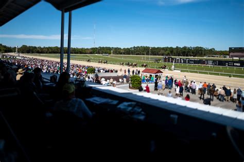 Tampa bay downs picks and graded stakes races. Tampa Bay Downs Picks for Saturday 9 January 2021 ...