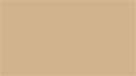 Change the text color to see how the background looks with different text colors. Tan Wallpapers | Tan Awesome Photos Collection