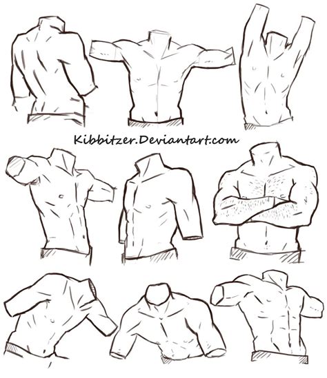 Male Torso Reference Sheet By Kibbitzer On Deviantart Drawing Body