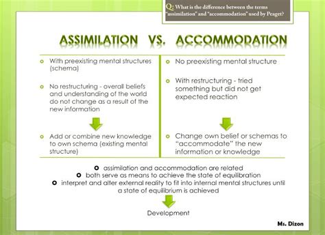 Assimilation Vs Accommodation Teacher S Notes Teacher Notes
